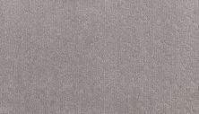 Karastan Smartstrand Silk Fabulous Features Einstein 43803-9901