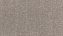 Karastan Smartstrand Silk Fabulous Features Cheyne 43803-9911