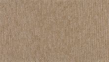 Karastan Smartstrand Assemblage Charm 43804-9721