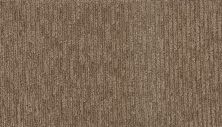 Karastan Smartstrand Assemblage Rhapsody 43804-9843