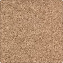 Karastan Kashmere Rising Fashion Desert Sand 63550-6858