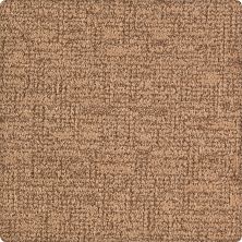 Karastan Kashmere Modern Tradition Cork 63558-6787