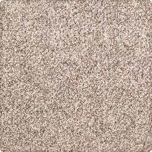 Karastan Smartstrand Quiet Refuge Almond Wash 63560-6726