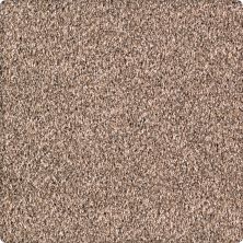 Karastan Smartstrand Quiet Refuge Birch Bark 63560-6756
