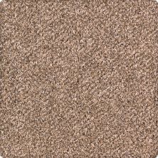 Karastan Smartstrand Quiet Refuge Cottage Clay 63560-6771