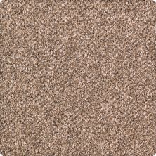 Karastan Smartstrand Quiet Refuge Gingerbread 63560-6777