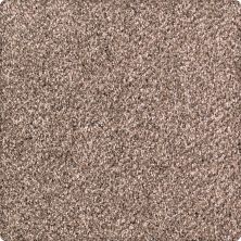 Karastan Smartstrand Quiet Refuge Driftwood 63560-6786