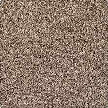 Karastan Kashmere Classica Deep Woods 63568-6820