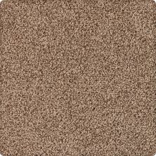Karastan Kashmere Classica Toasted 63568-6834