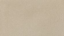 Karastan Smartstrand Silk Delicate Design Bare Essence 63570-6714