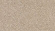Karastan Smartstrand Silk Delicate Design Almond Blossom 63570-6735
