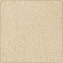 Karastan Smartstrand Silk Soft Extravagance Portrait 63574-6722