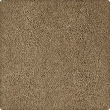 Karastan Smartstrand Silk Soft Extravagance Bronco Suede 63574-6834