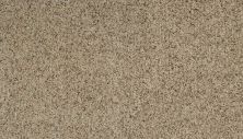 Karastan Smartstrand Dynamic Living Spun Wool 63579-6741