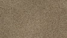 Karastan Smartstrand Dynamic Living Ashen Tan 63579-6767