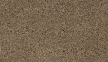 Karastan Smartstrand Dynamic Living Merino 63579-6771