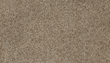 Karastan Smartstrand Dynamic Living Rustic Taupe 63579-6776