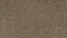 Karastan Smartstrand Dynamic Living Creek Bend 63579-6786