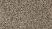 Karastan Smartstrand Dynamic Living Mindful Grey 63579-6937