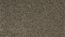 Karastan Smartstrand Dynamic Living Peppercorn 63579-6957