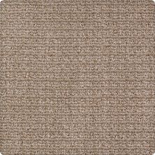 Karastan Kashmere Equilibrium Earthen 63580-6748