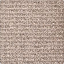 Karastan Kashmere Equilibrium Tortoise 63580-6759