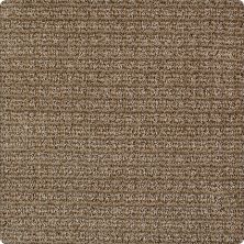Karastan Kashmere Equilibrium Rawhide 63580-6763