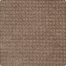 Karastan Kashmere Equilibrium Antelope 63580-6825