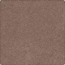 Karastan Smartstrand Crafted Details Nutmeg Frost 63584-6228