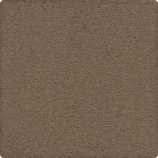 Karastan Smartstrand Crafted Details Gentle Doe 63584-6774