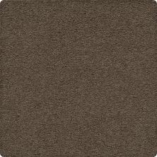 Karastan Smartstrand Crafted Details Fieldstone 63584-6799