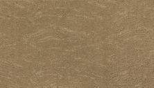 Karastan Smartstrand Silk Trendy Essence Satin Snow 63585-6767