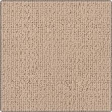 Karastan Smartstrand Silk Blythe Park Graceful 63589-6738