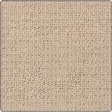 Karastan Smartstrand Silk Blythe Park Brilliant 63589-6751