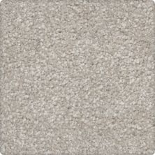 Karastan Kashmere New Take Opulent Grey 63590-6920