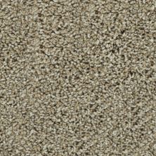 Karastan Smartstrand Bold Finish Blonde Willow 63614-6824