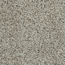 Karastan Smartstrand Bold Finish Weathered Wood 63614-6829