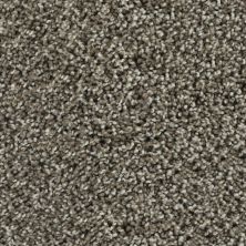 Karastan Smartstrand Bold Finish Universal 63614-6869