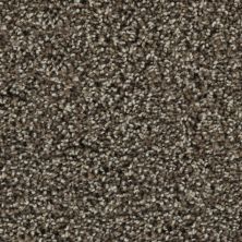 Karastan Smartstrand Bold Finish Rustic Villa 63614-6883