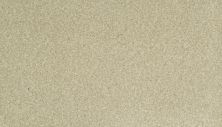 Karastan Kashmere Sensational Details Pearl 63917-6709