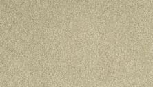 Karastan Kashmere Sensational Details Sesame 63917-6712
