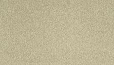 Karastan Kashmere Sensational Details Birch 63917-6719
