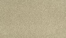 Karastan Kashmere Sensational Details Nougat 63917-6748