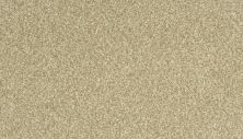 Karastan Kashmere Sensational Details Portrait 63917-6768