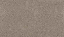 Karastan Smartstrand Dazzling Statement Cobble Path 63926-6775