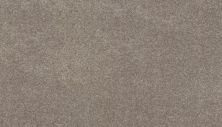 Karastan Smartstrand Dazzling Statement Haze 63926-6779