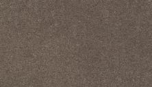 Karastan Smartstrand Dazzling Statement Longhorn 63926-6824