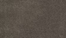 Karastan Smartstrand Dazzling Statement Cypress 63926-6879