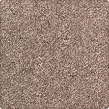 Karastan Smartstrand Nature’s Majesty Walnut Shell 70197-3786