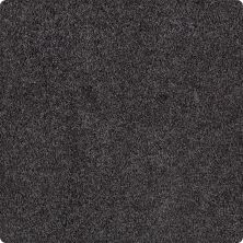 Karastan Smartstrand Luxurious Appeal Ebony Star 70903-3999